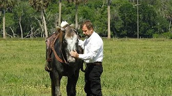 Jeff with his horse on the farm